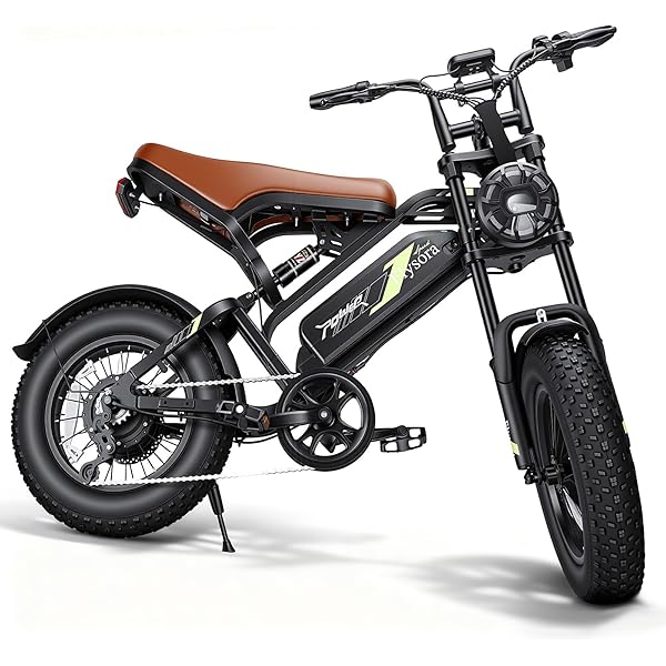 Electric Bike for Adults e300,1000W Peak Brushless Moto E bike,30-50 Miles 48V/15.6AH with 28MPH ebike,16” Fat Tire Electric Dirt Bike for Mountains,Snow,Sand,Road