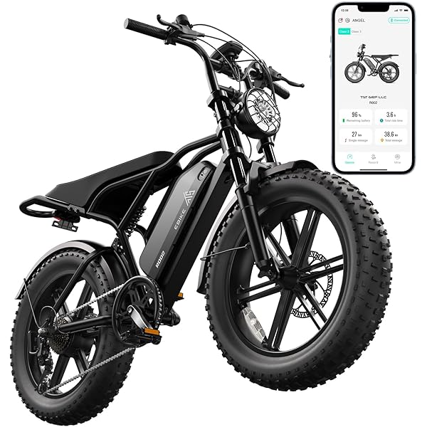 TST Electric Bike for Adults 1500W Peak 20" Fat Tire All-Terrain E-Bike 60/110 Miles 28 MPH Electric Dirt Bike - 48V 15/25 AH Battery Tested to UL 2849 Powered Electric Bicycle